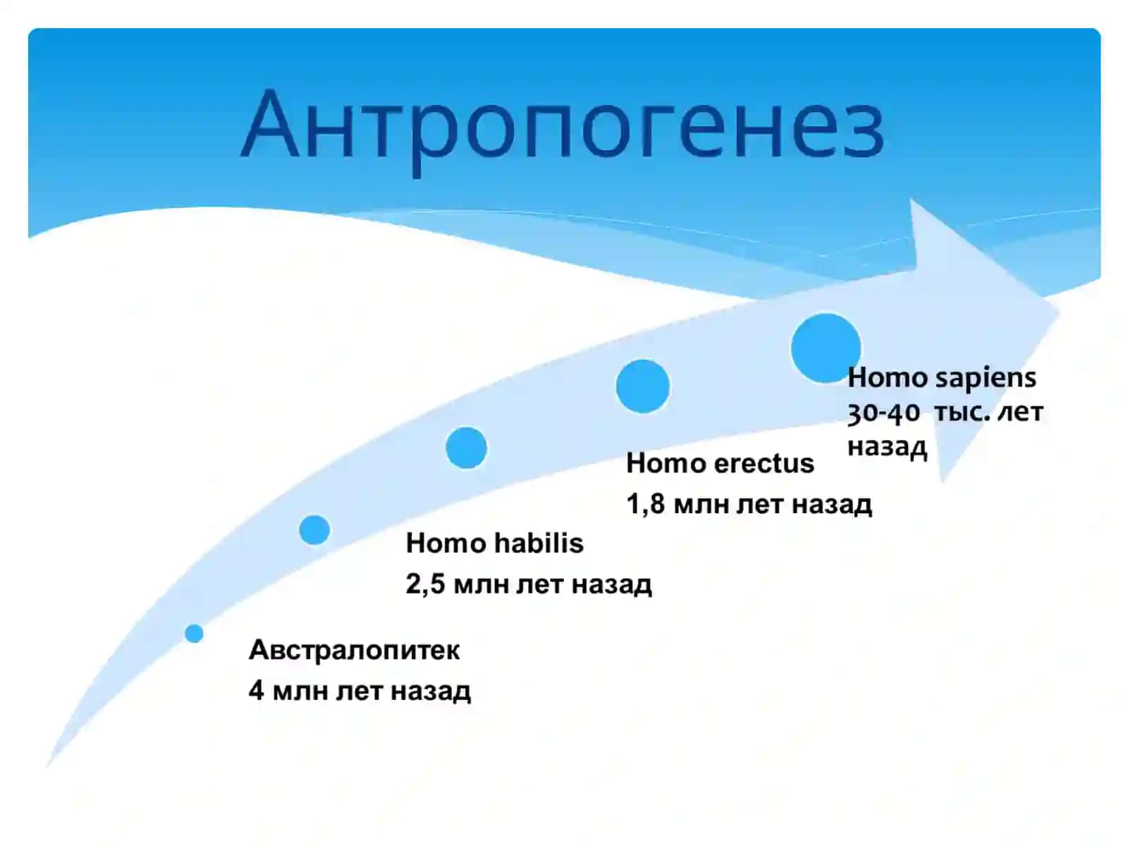 Философия о происхождении и сущности человека 4