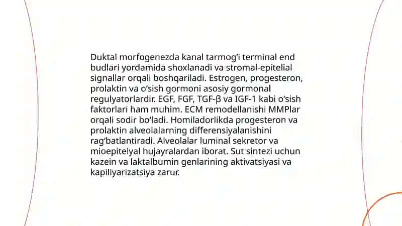 Sut bezlari gistogenezi va gistofiziologiyasi 4