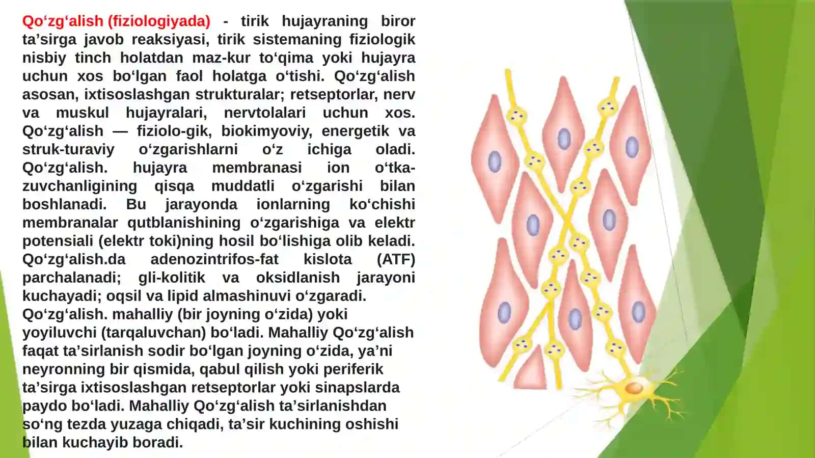 Ta'sirlash qonunlari tibbiyotda 4