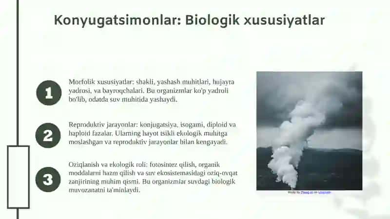 Konyugatsimonlar va Matashuvchisimonlar 4
