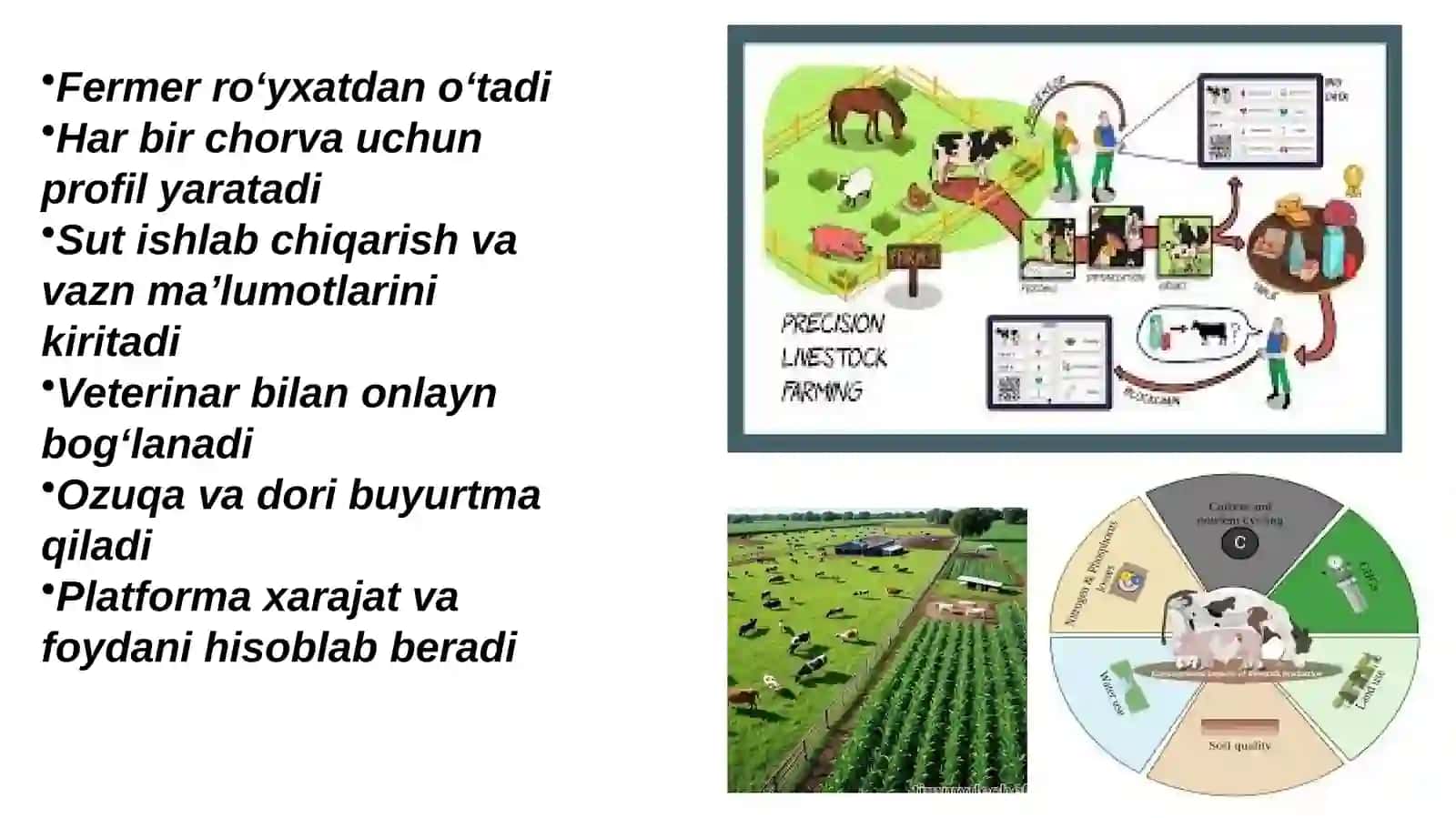 RAQAMLI CHORVACHILIK PLATFORMASI 4
