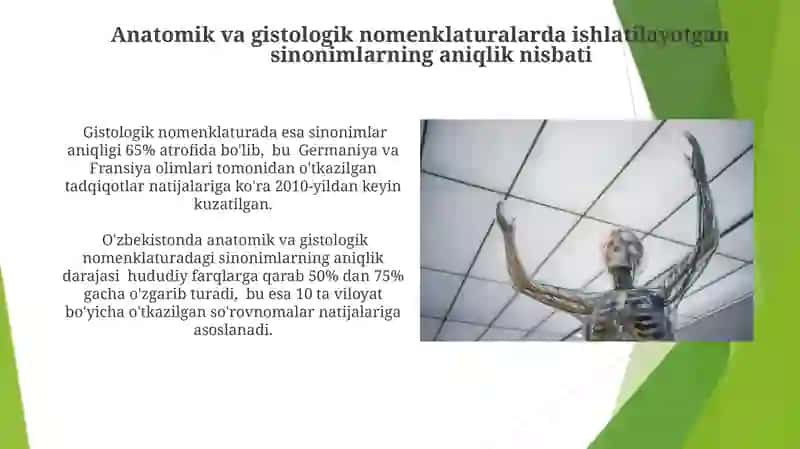 Anotomik va gistologik nomenklaturalarida qo'llanilgan hozirgi z. sifatdoshining aniqlik nisbati 4