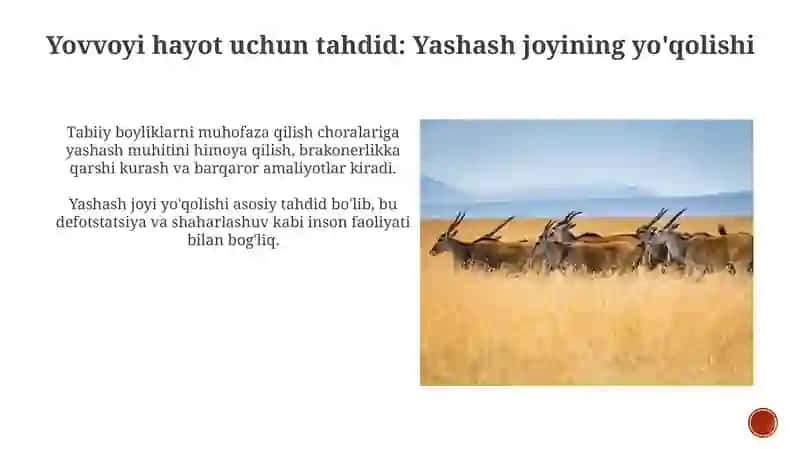 Hayvonot olami va uni muhofaza qilish 4