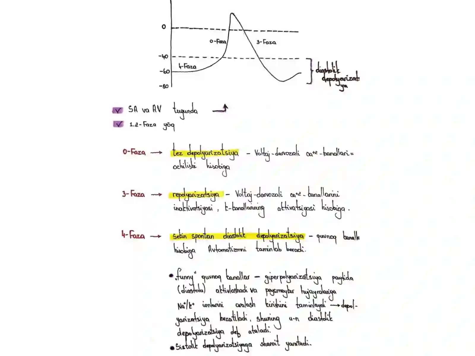 Yurak ritmi buzilishlari 4