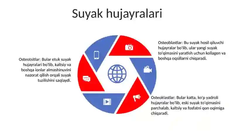 Tirik Organizmlar Suyak To'Qimasi 4