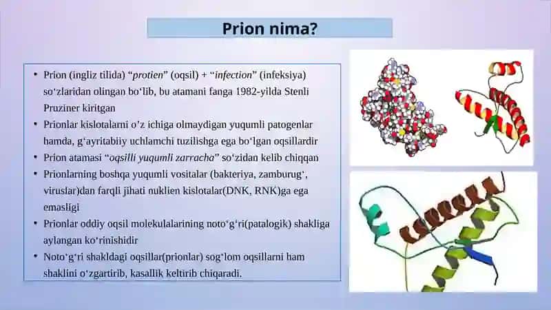 PRIONLAR HAQIDA TUSHUNCHA, KELIB CHIQISHI, PRION KASALLIKLARI, AMALIYOTDA AHAMIYATI. OZIQ MUHITLAR, XROMOGEN OZIQLI MUHITLAR, IDENTIFIKATSIYADA QO‘LLANILISHI 4