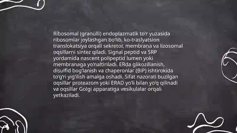 Setoplazma organoidlari endoplazmatik to'r 4