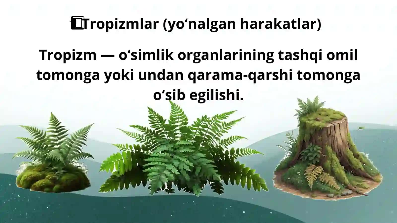 Oʻsimliklarning harakatlanishi 4