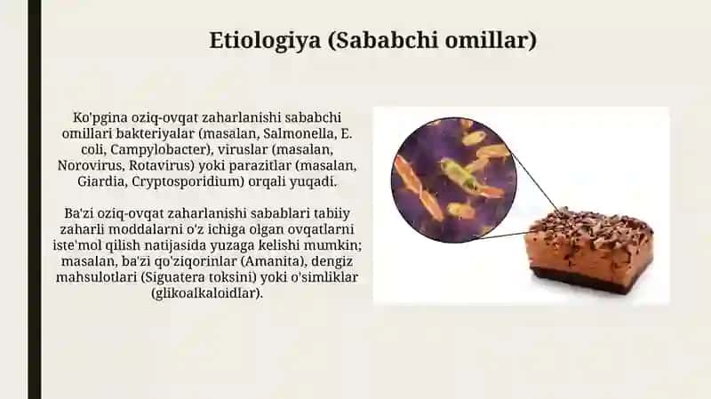 Oziq-ovqatdan zaharlanishlar, toksikoinfeksiya qo’zg’atuvchilari 4