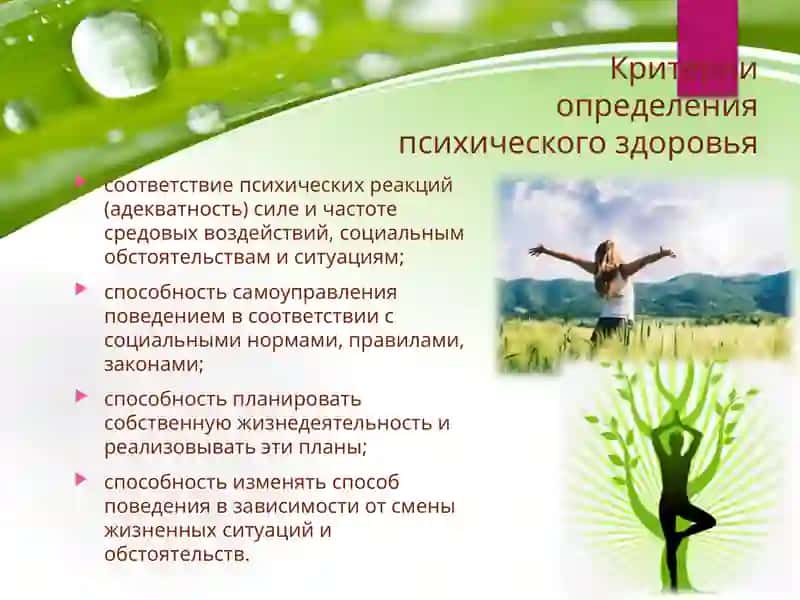 Психическое здоровье человека как один из факторов здорового образа жизни. Режим дня и здаровье человека 4