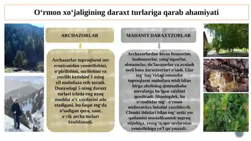 O‘RMON XO‘JALIGI, BALIQCHILIK VA OVCHILIK TARMOQLARI IQTISODIYOTI 4