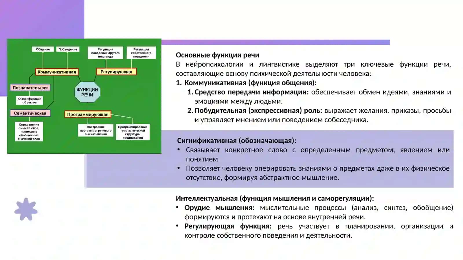 Функция речи и её патологии 4