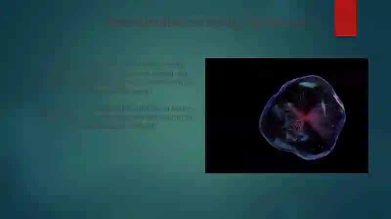 Meyozning biologik ahamiyati 4