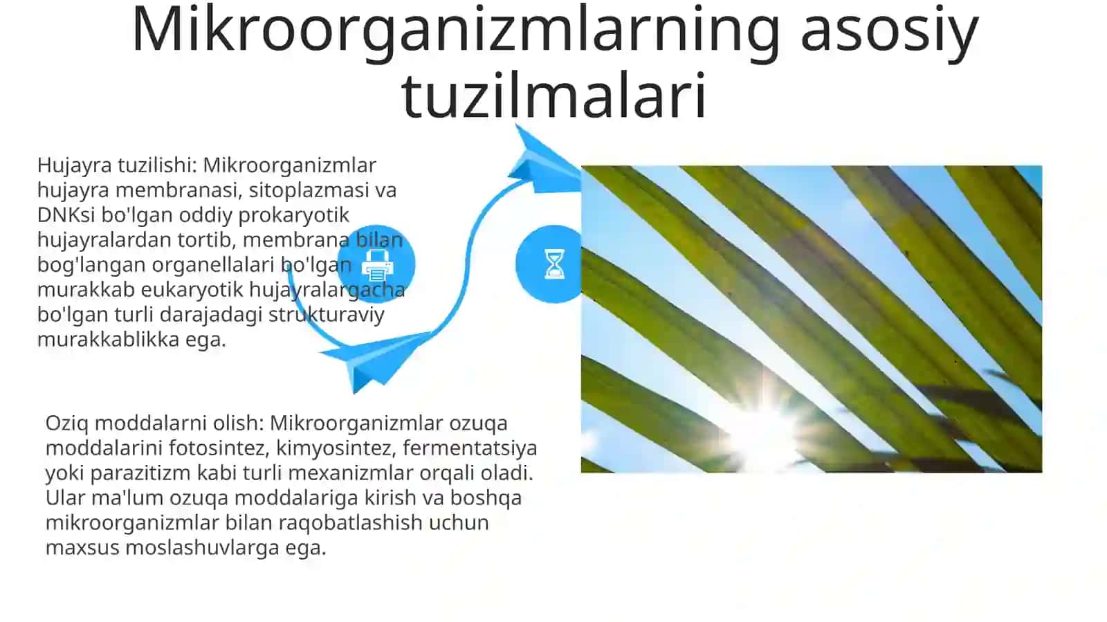 Mikroorganizmlarning Fiziologiyasi 4