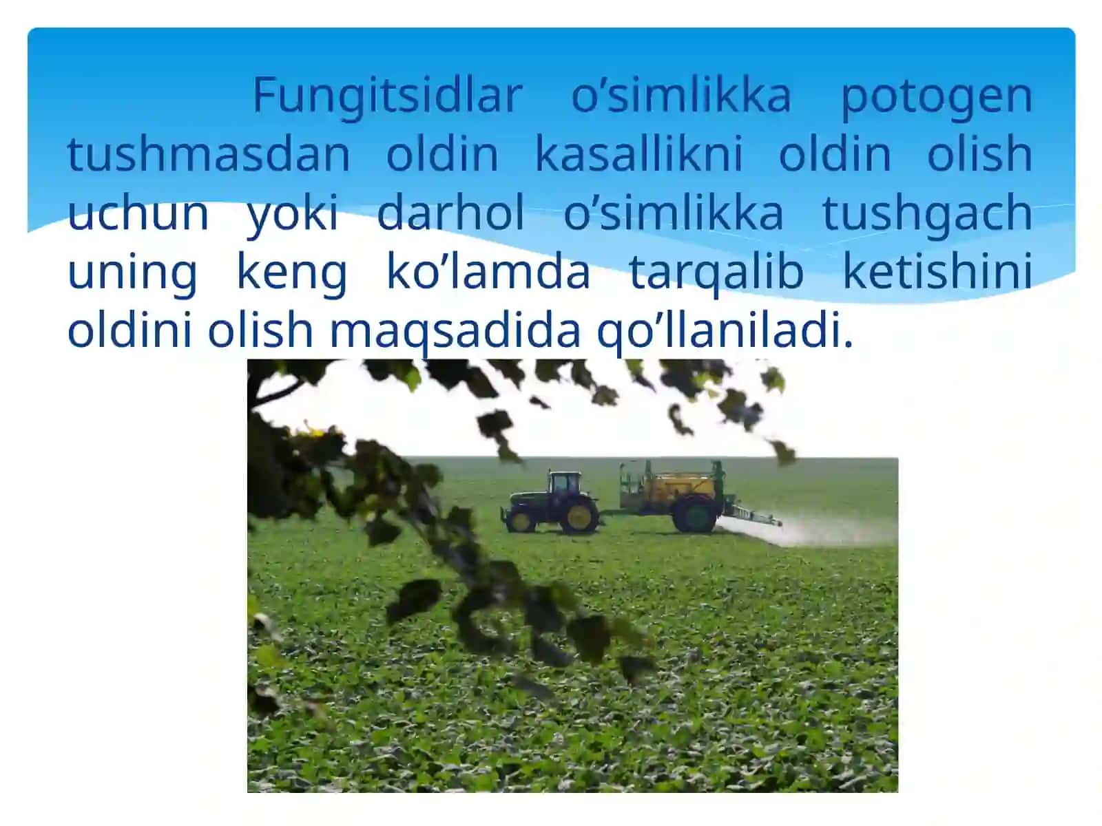 O'simliklarni O'suv va Tinim Davrida Qo'llaniladigan Fungitsidlar 4