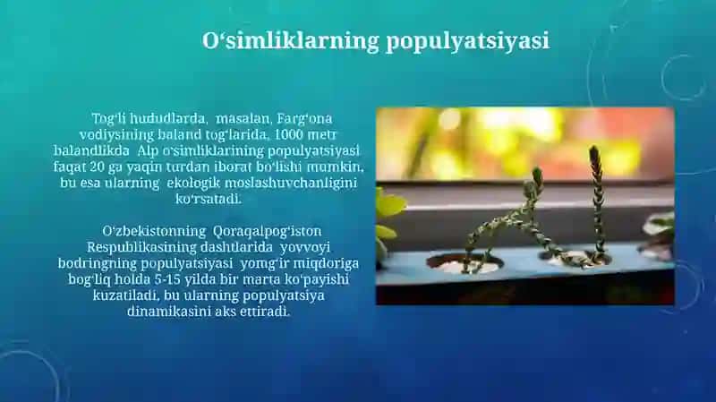 Oʻsimliklar ekologiyasi asoslari 4