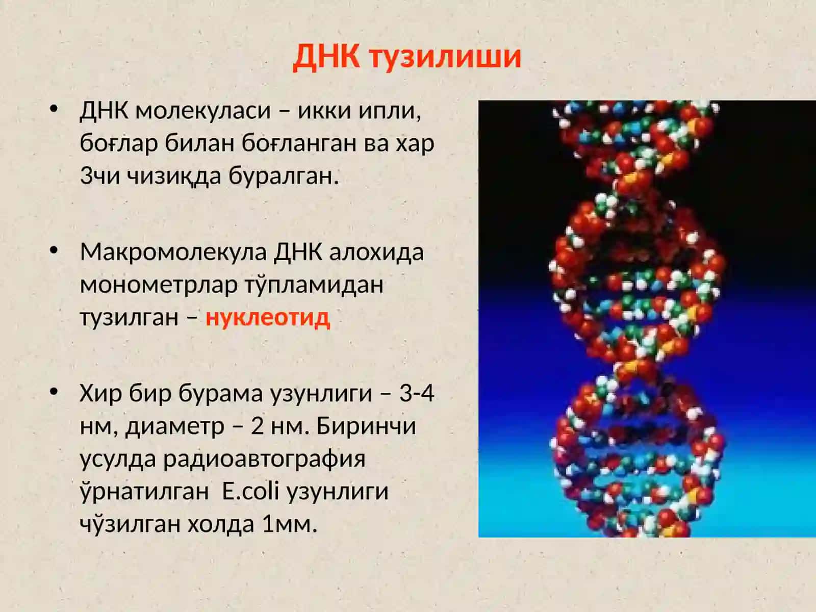 Бактериялар генетикаси 4