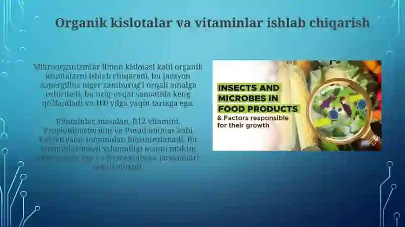 Mikroorganizmlarnin hayot faoliyatida ishlab chiqaradigan mahsulotlari 4