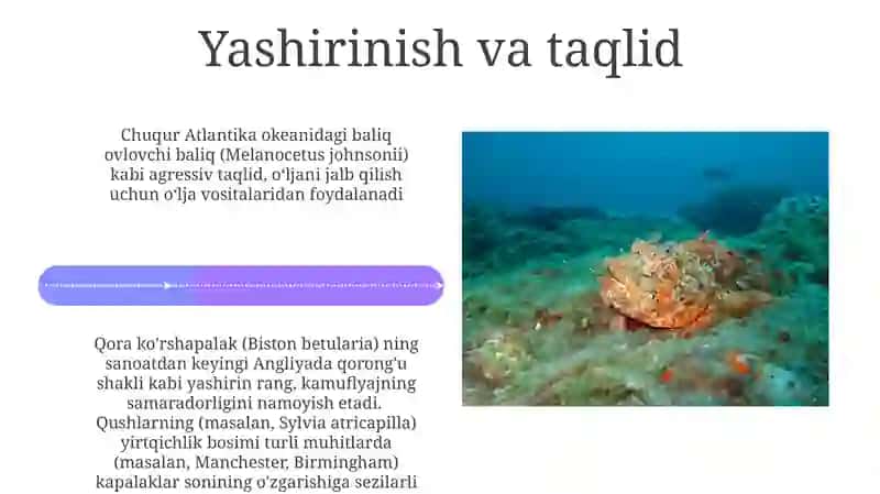 Muhitga organizmlarning moslashishi 4