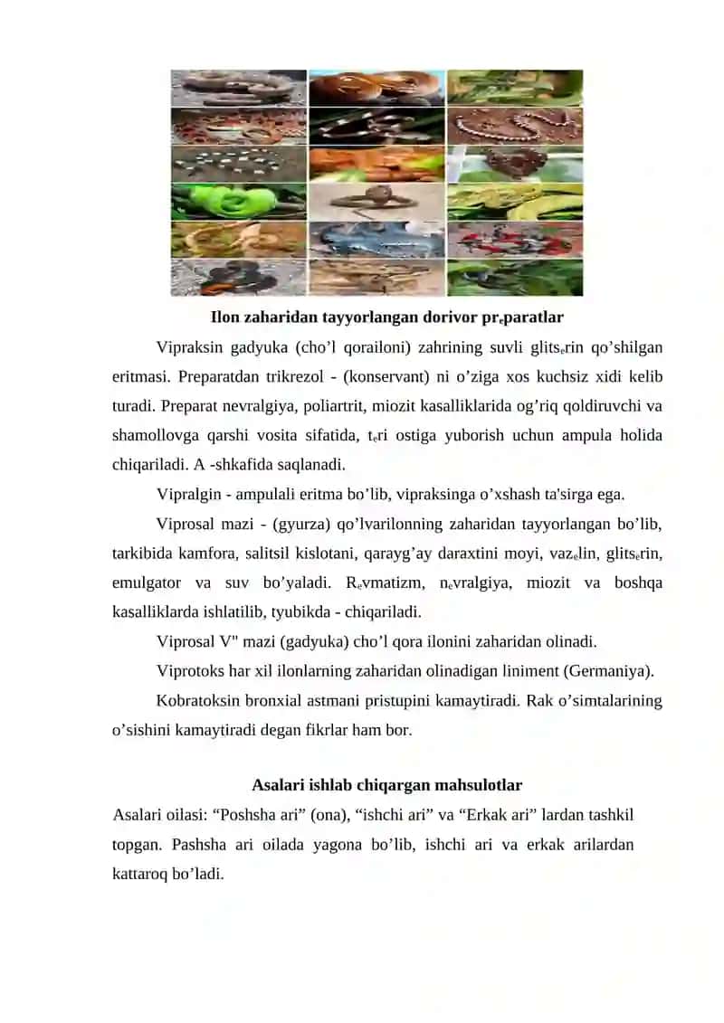 Ilon zaharlari 4