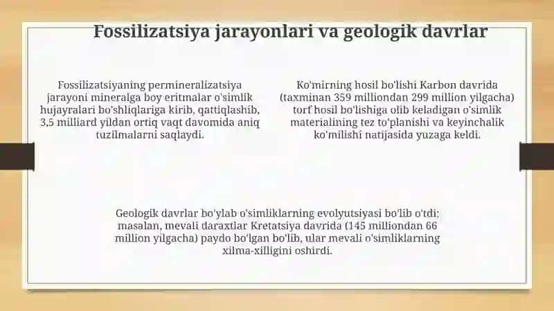Paleobotanika 4