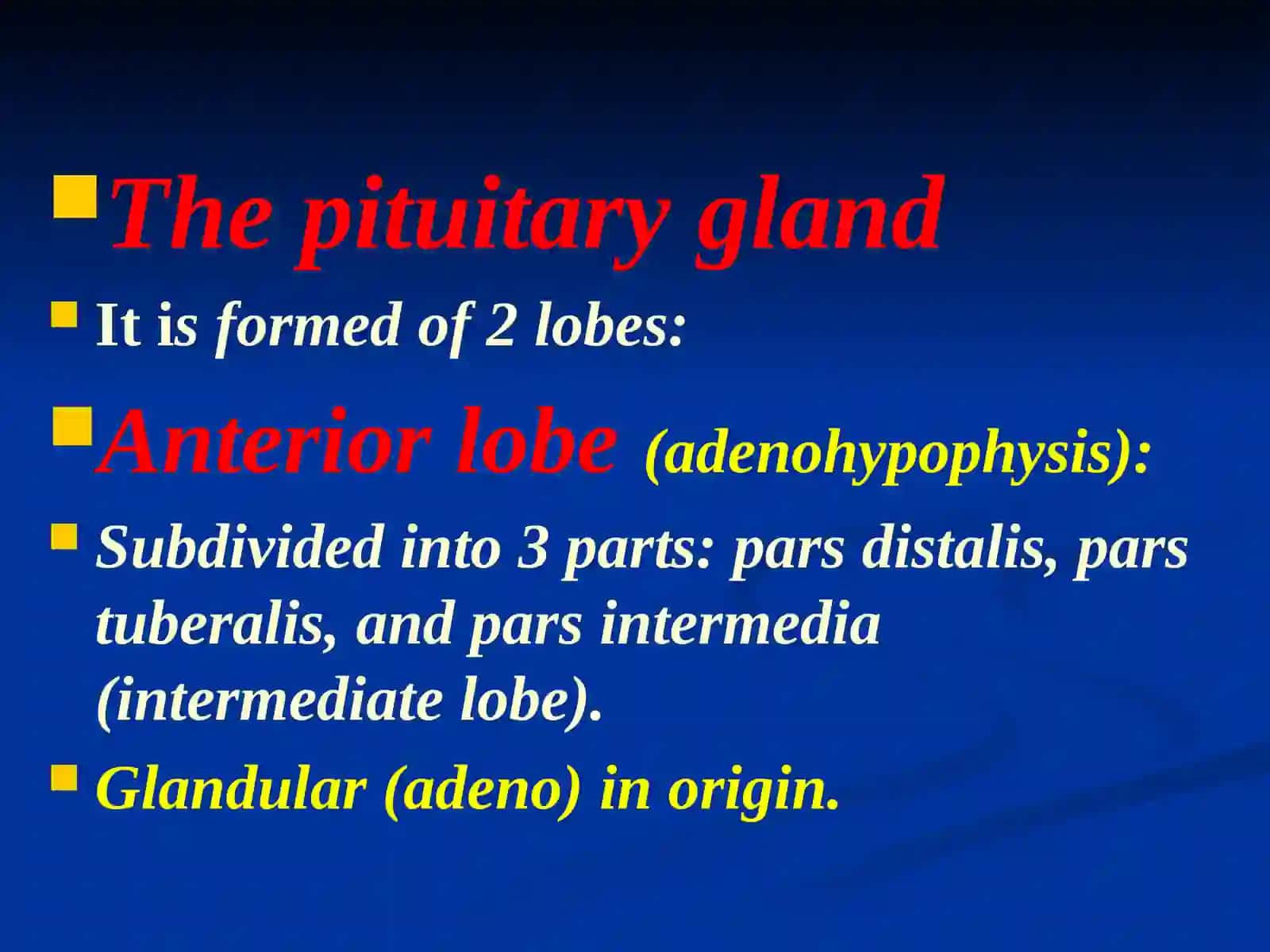 Pituitary glands 4
