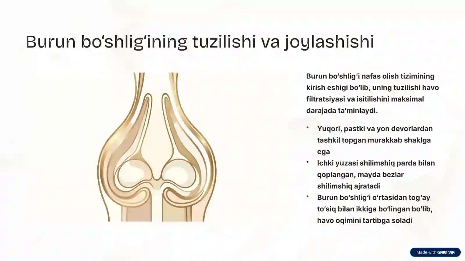 Nafas Yo‘llariga Kiruvchi A’zolarning Tuzilishi va Joylashishi 4