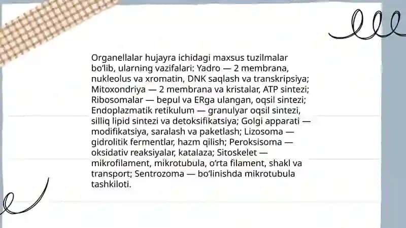 Odam organizmining tuzilishi 4