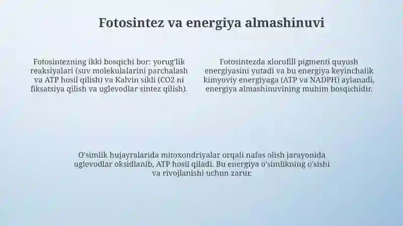 O‘simliklar dunyosi va ularni hayot tarzi haqidagi bilimlar 4