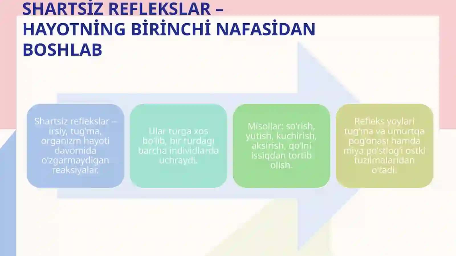 Oliy nerv faoliyati – organizmning atrof-muhitga moslashuvining asosi 4