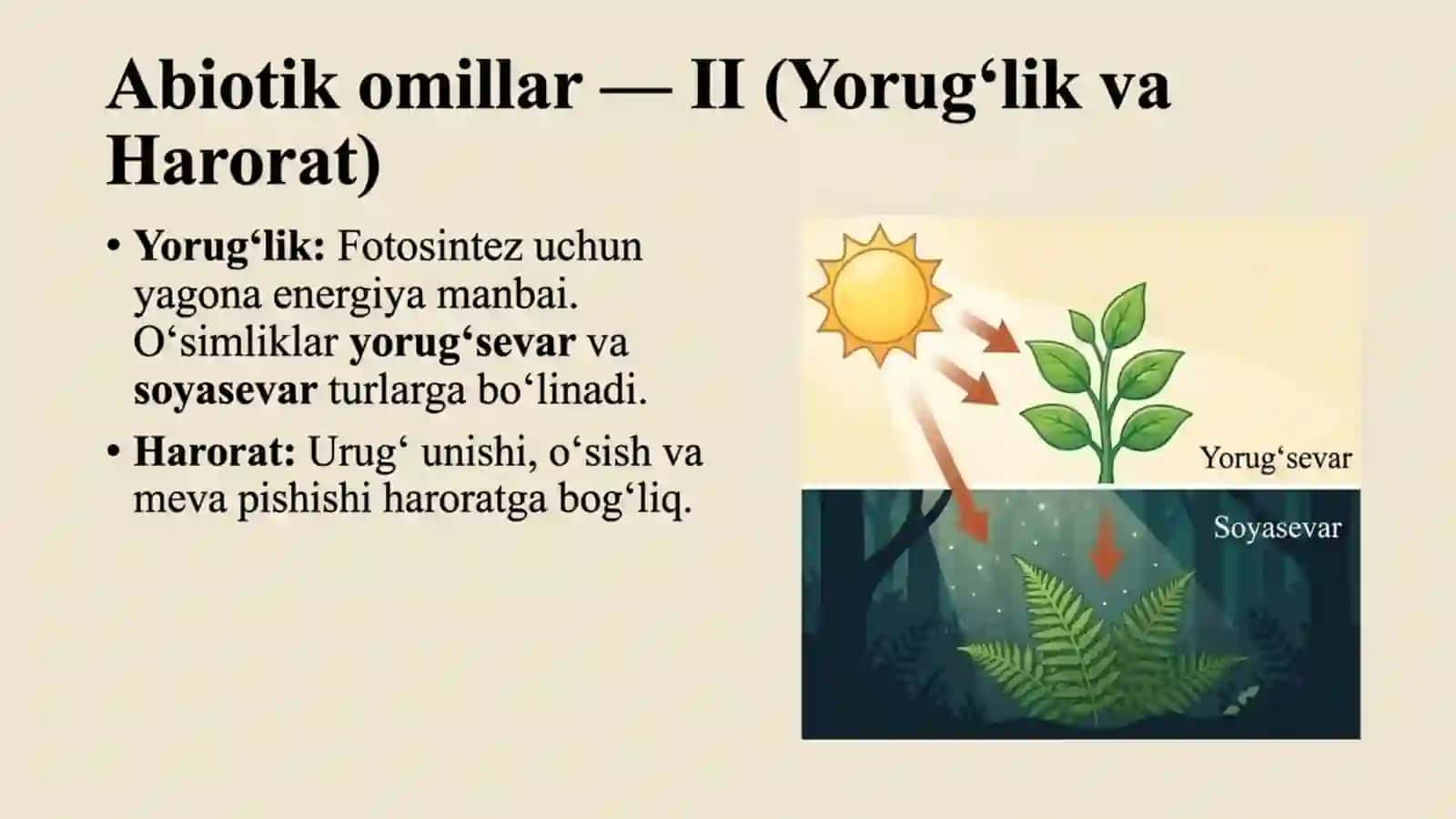 O'simliklarga ekologik omillarning ta'siri 4