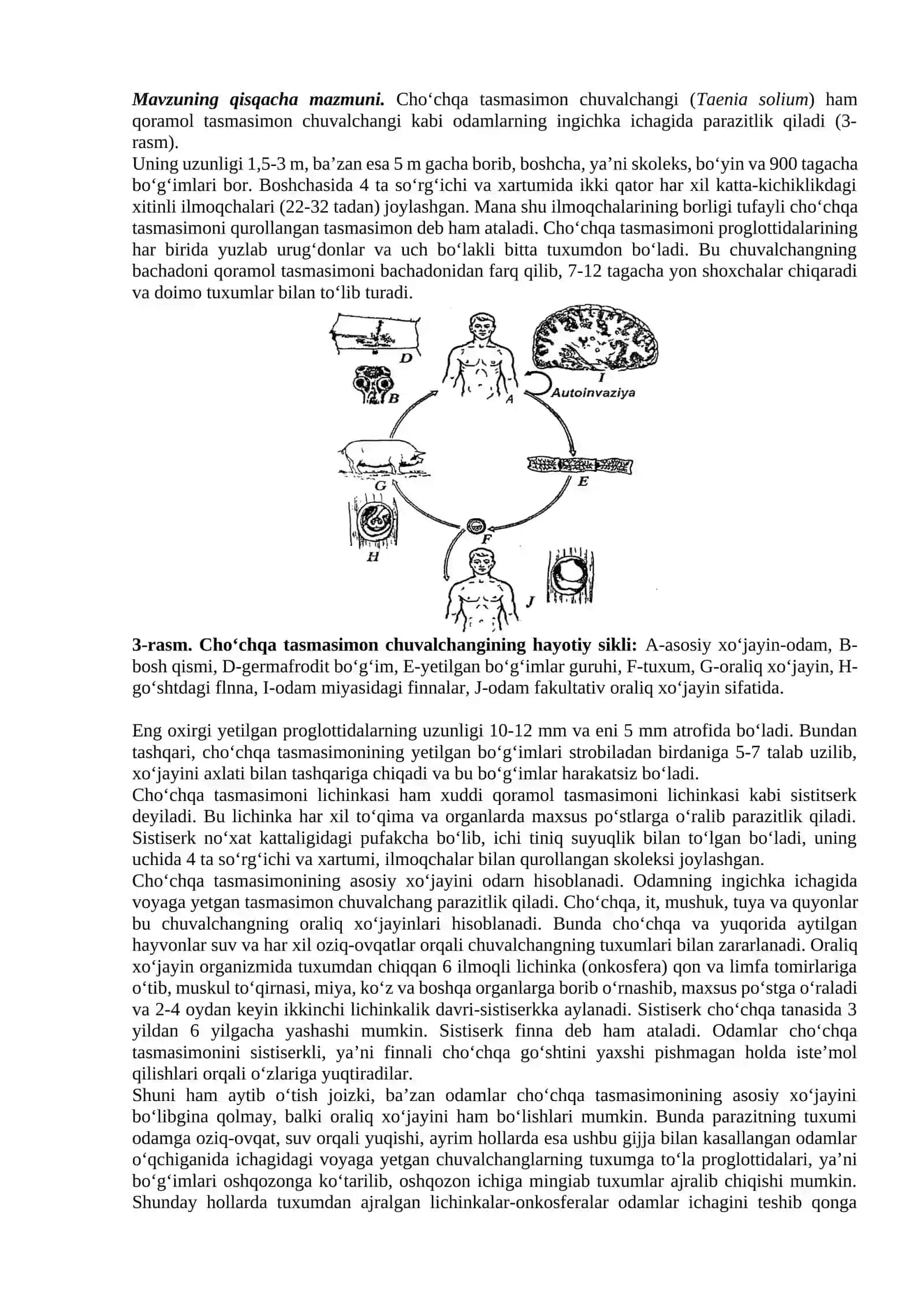 Qoramol (Taeniarhynchus saginatus) va cho'chqa (Taenia solium) tasmasimon chuvalchanglarning tuzilishi va rivojlanishi 4