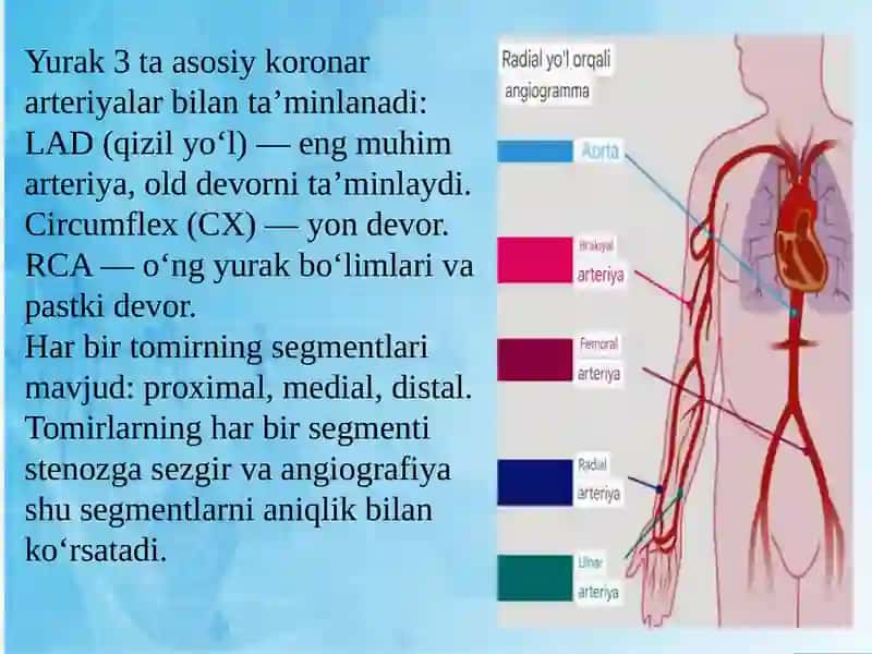 Koronar Angiografiya 4