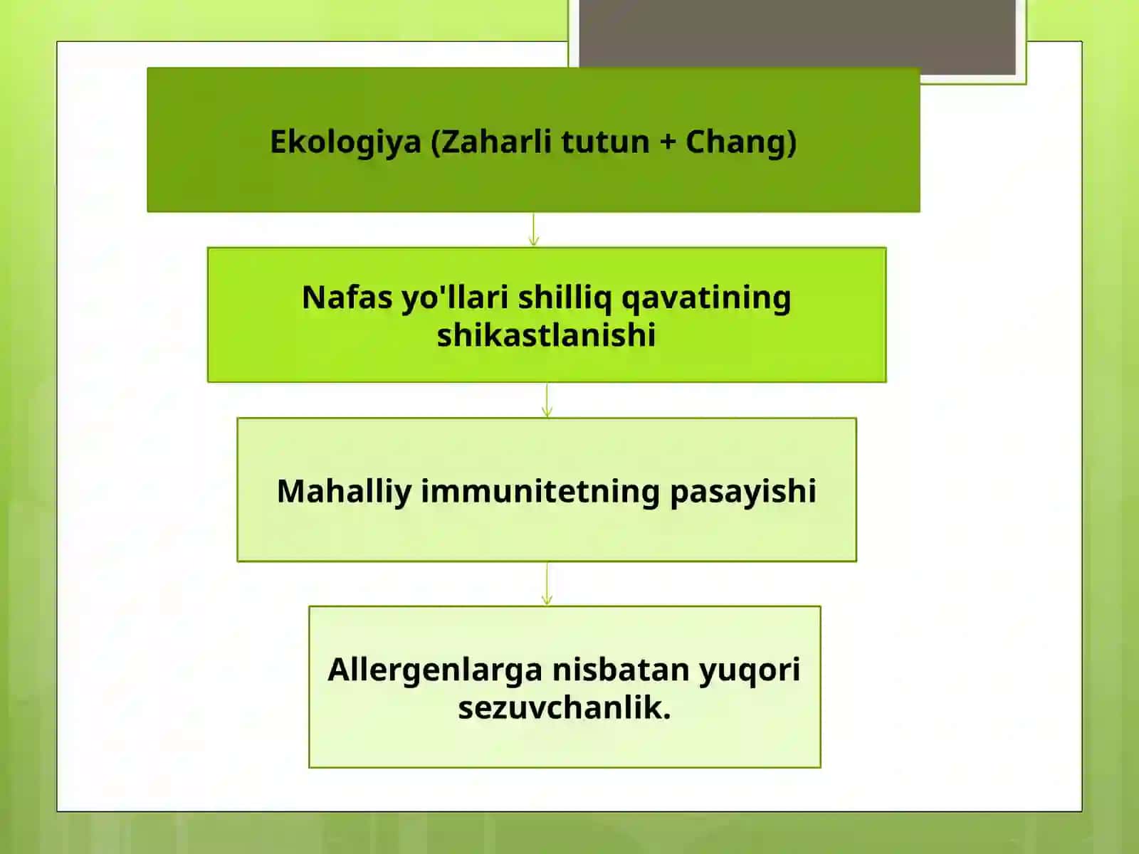 Nafas organlarikasalliklari daza mo 'mavziy tibbiy ot va xalq tabobati ni uygunlash tiri sh t amoyillari 4