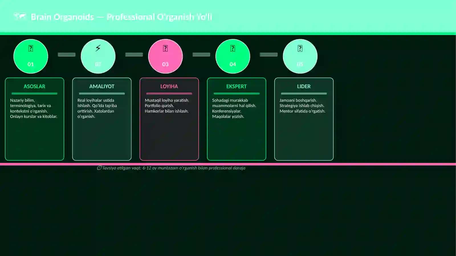 Brain Organoids 4