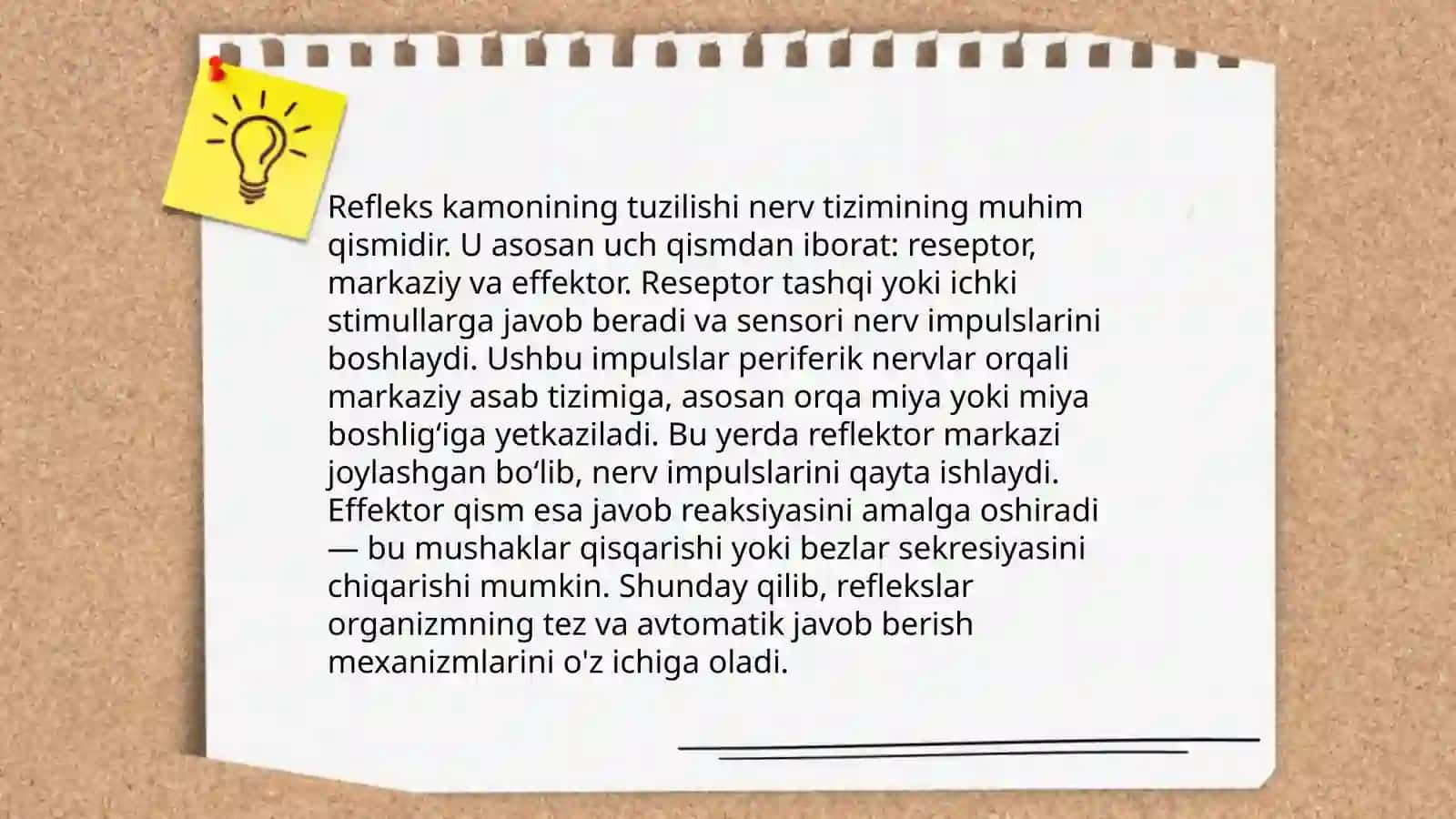 Oddiy refleks yoyi sezuv va oʻtkazuv yoʻllari 4