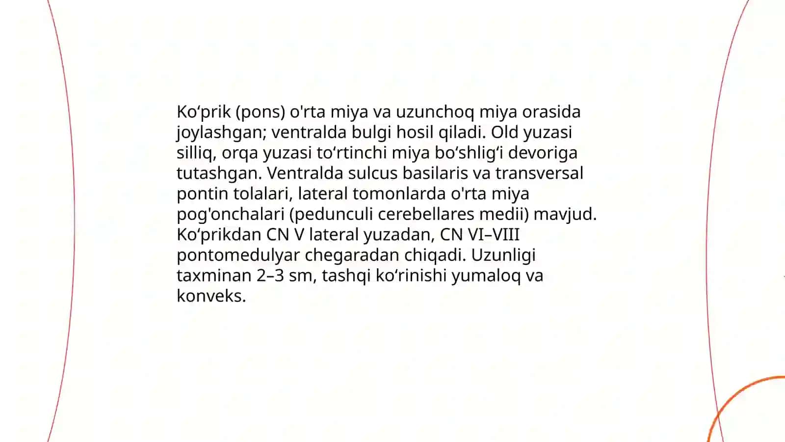 Uzunchoq miya va Koʻprik 4