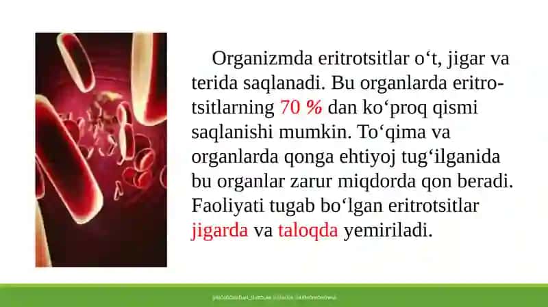 Eritrotsitlar 4