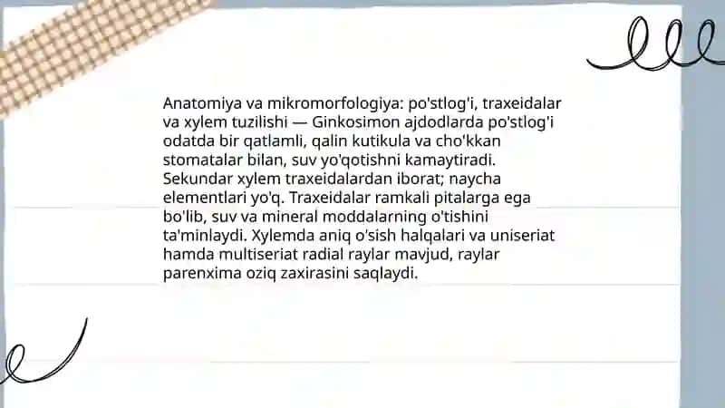 Ginkosimonlar ajdodining umumiy tuzilishi, klassifikatsiyasi ilmiy va amaliy ahamiyati 4
