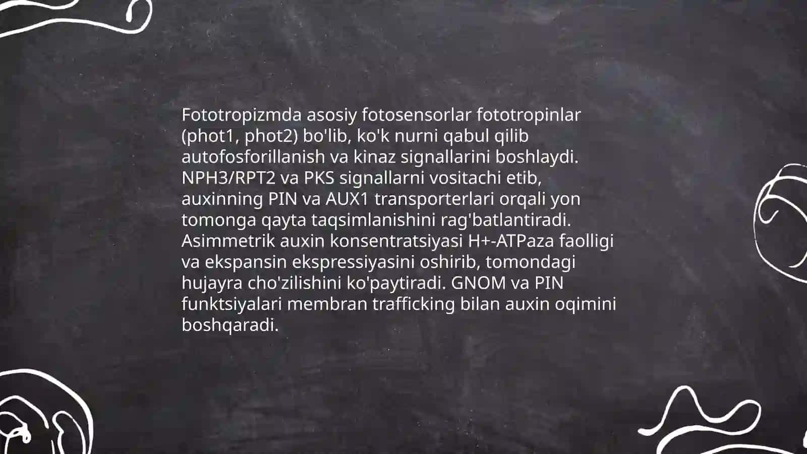 O'zimliklardagi fototropizm, fotonastiya va geotropizm hodisalarini kuzatish 4