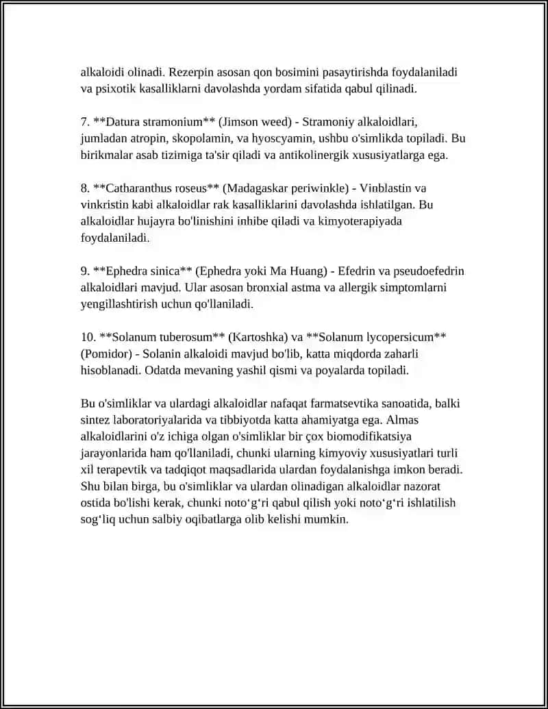 Papaver somniferum 4