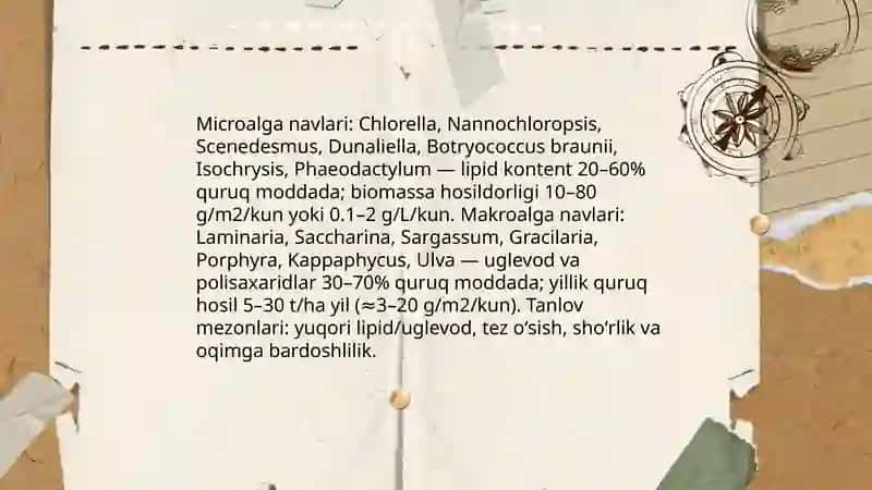 Suv oʻtlari asosida bioyoqolgʻi ishlab chiqarish texnalogiyasi 4