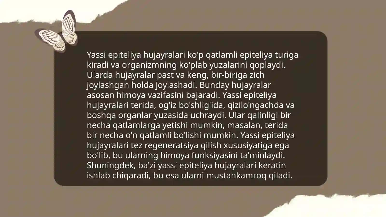 Ko‘p qavatli muguzlanmaydigan yassi epiteliyning qavatlari 4
