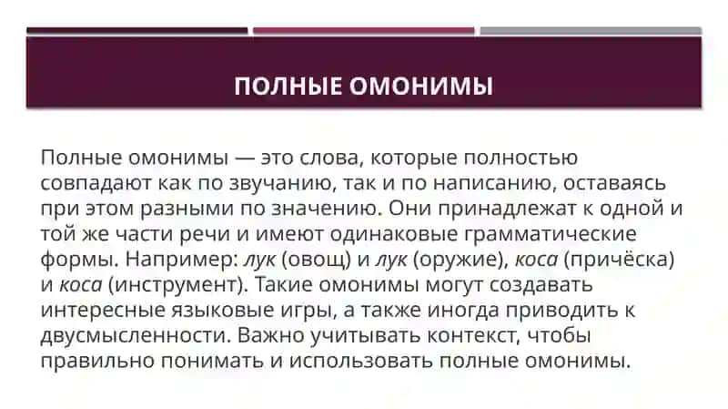 Типы омонимов 4