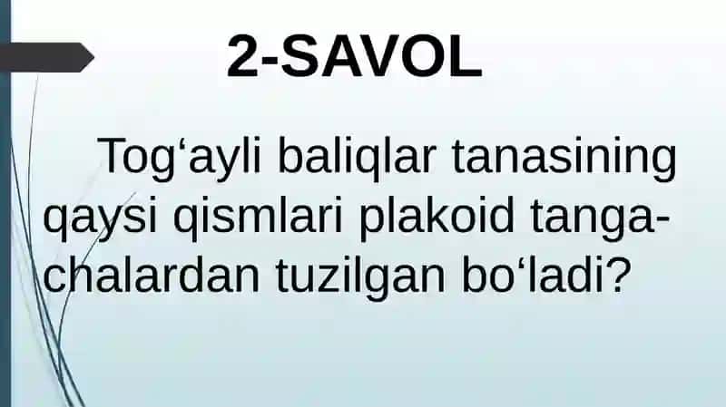 HAYVONLARNING NAFAS OLISH ORGANLARI EVOLUTSIYASI 4