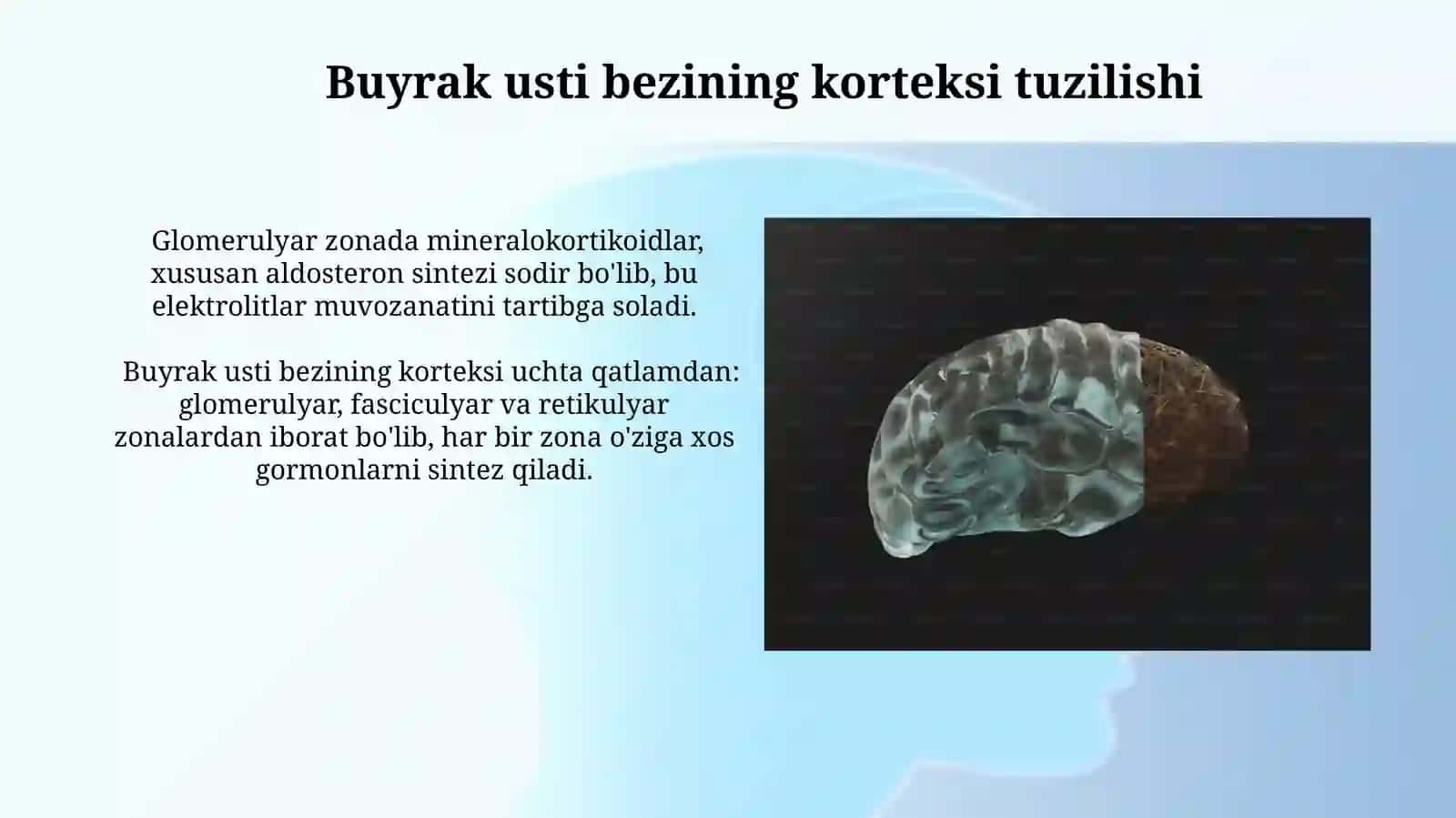 Bolalarda suyak usti pardasi 4