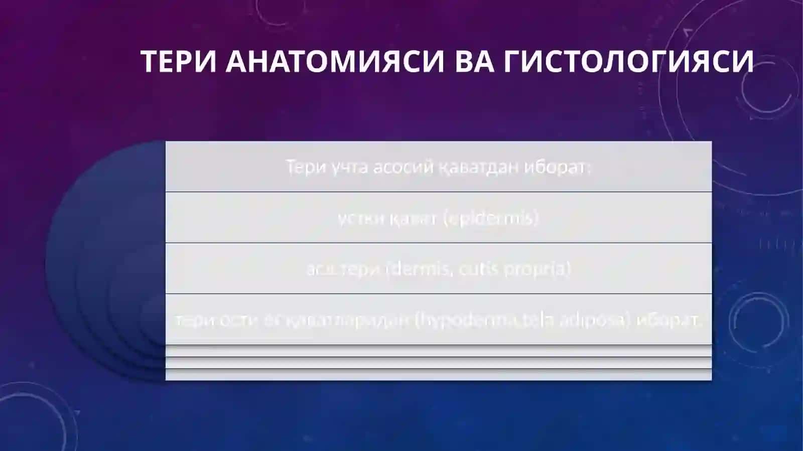 Teri anatomiyasi va gistologiyasi 4