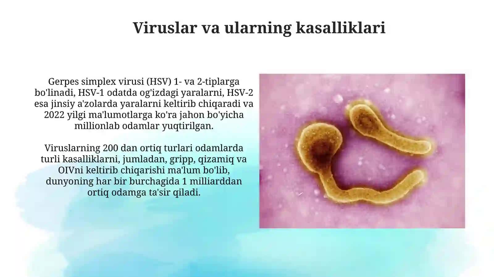 Kasallik qõzg'atuvchi mikroorganizmlar, infeksiya va uning turlari 4
