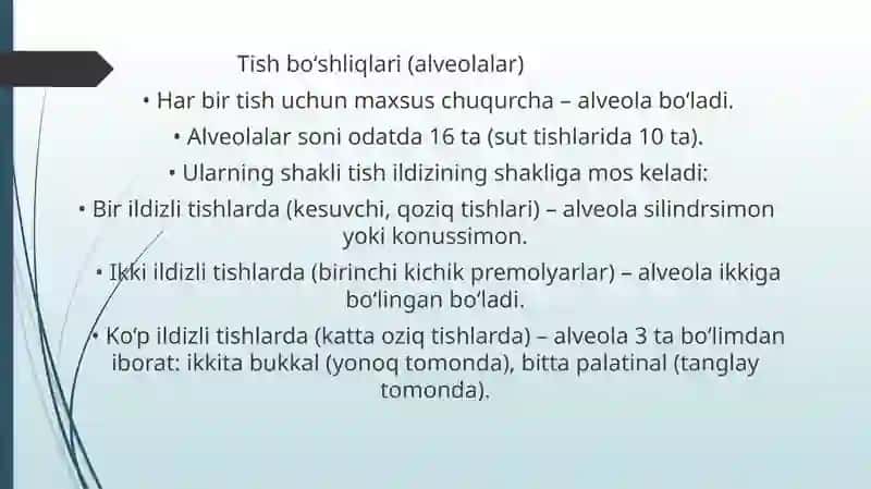 Yuqori jag’ tishlari bo’shlig’ining anatomik va topografik tuzulishi 4