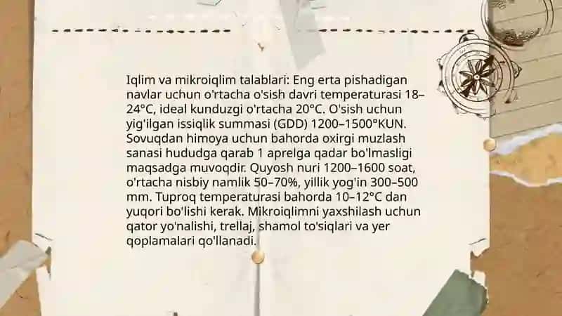 Uzumni eng erta pishadigan navlarini yetishtirish texnologiyasi 4